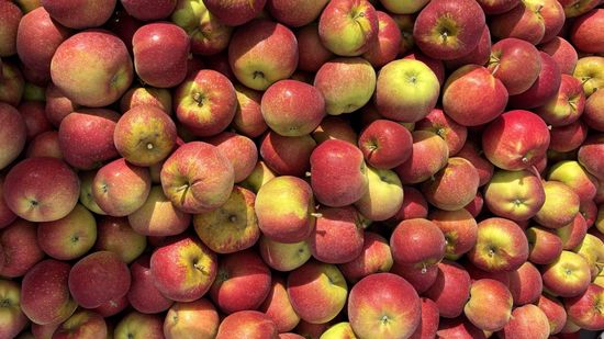 Äpfel