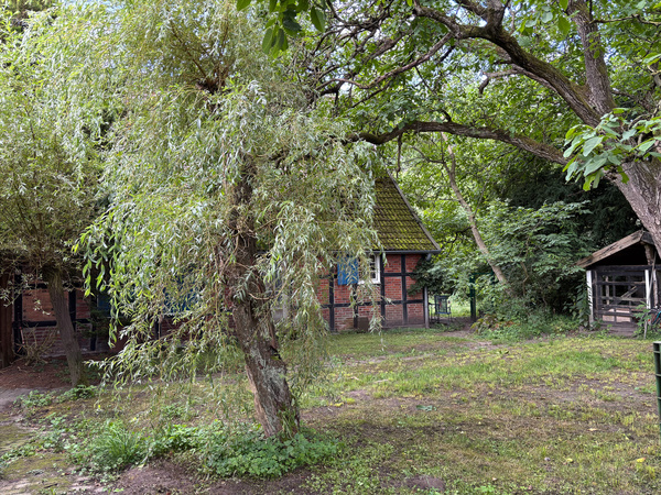 KI generiert: Ein idyllischer Garten mit Bäumen und einem kleinen Fachwerkhaus im Hintergrund.