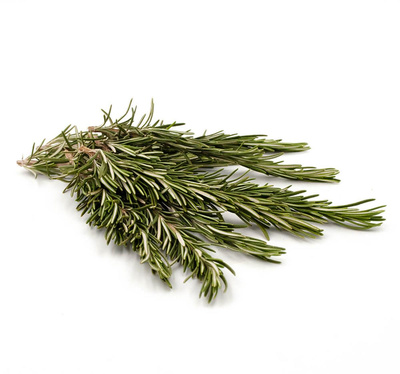 Produktfoto zu Rosmarin