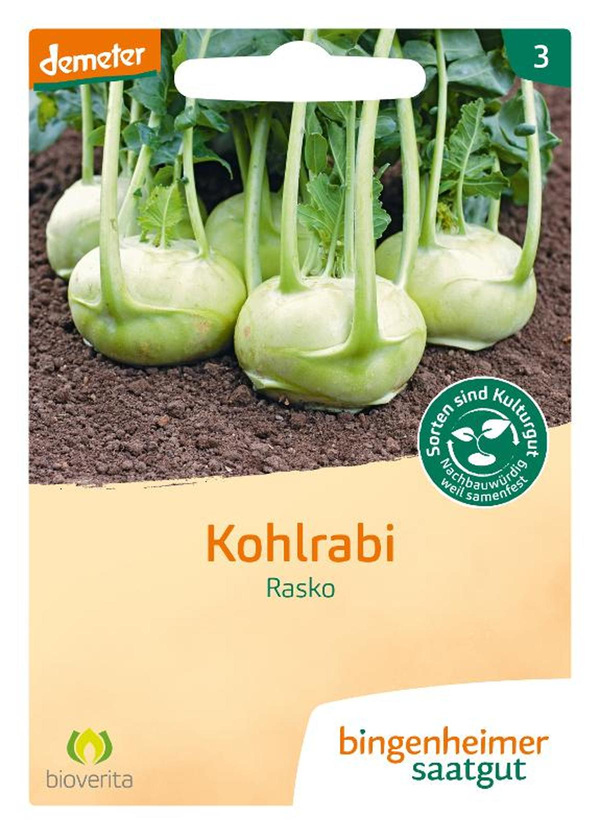 Produktfoto zu Saatgut Kohlrabi weiß