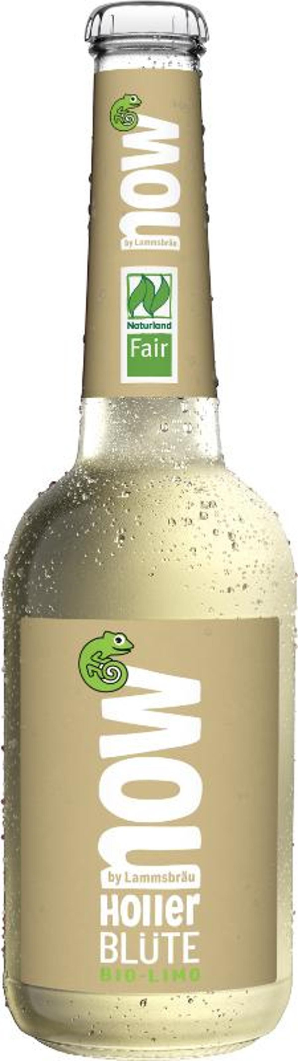 Produktfoto zu now Holler Blüte 10x0,33l