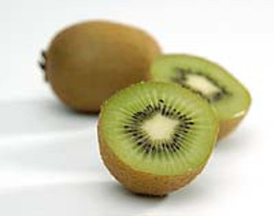Produktfoto zu Kiwi  Pflanze  3 l Topf
