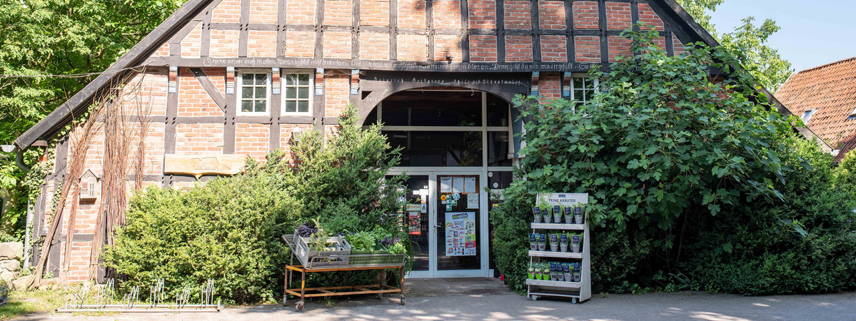 Fachwerkhaus mit Eingangsbereich, umgeben von Bäumen und Pflanzen.