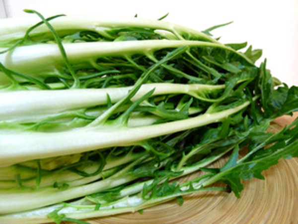 Produktfoto zu Puntarelle, ital. Gemüse