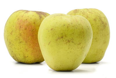 Produktfoto zu Apfel, Finkenwerder Herbstprinz