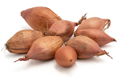 Produktfoto zu Schalotten