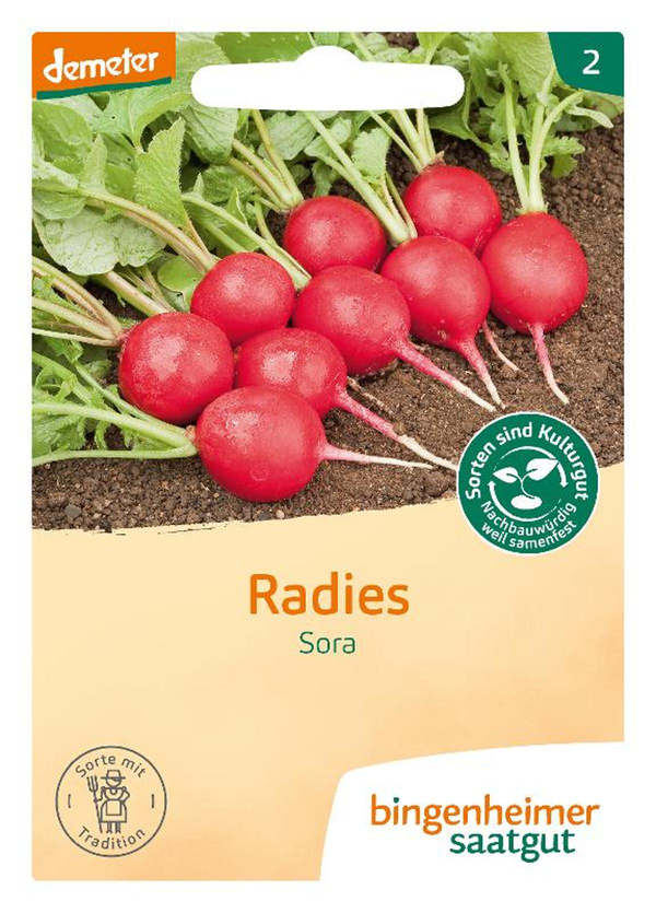 Produktfoto zu Saatgut Radieschen