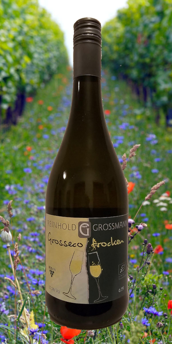 Produktfoto zu Grosseco Perlwein trocken