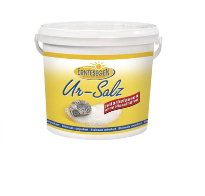 Produktfoto zu Ur-Salz fein 12kg