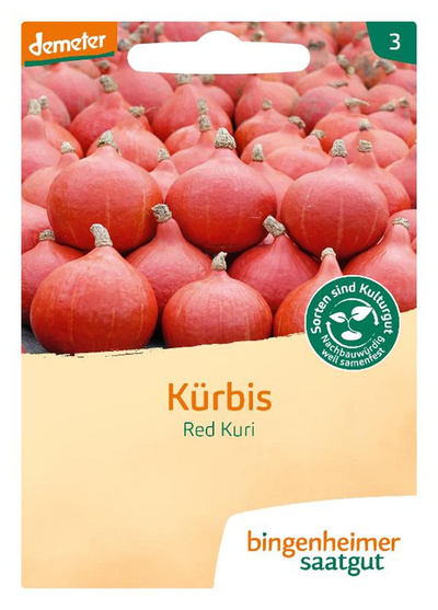 Produktfoto zu Saatgut Kürbis Hokkaido