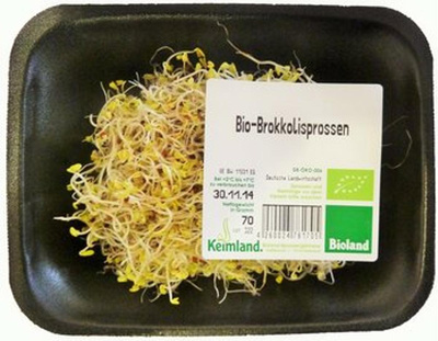 Produktfoto zu Brokkolisprossen samenfest
