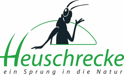 Produktfoto zu Cistus Tee geschnitten