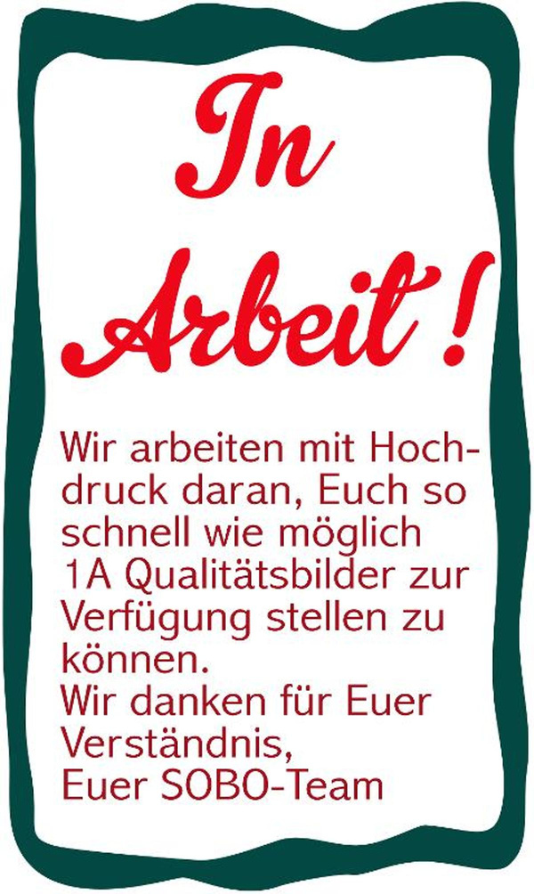 Produktfoto zu Vanille Sauce 55g