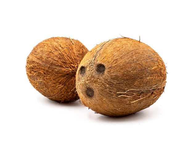 Produktfoto zu Kokosnuss