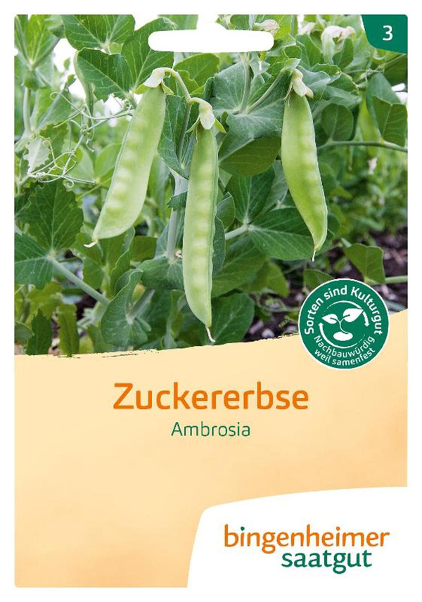 Produktfoto zu Saatgut Zuckererbse