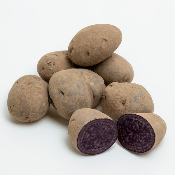 Produktfoto zu blaue Kartoffeln