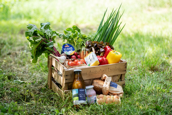 KI generiert: Holzkiste mit frischem Obst, Gemüse, Milchprodukten und Eiern auf Gras. Text: "Bio-Quark".