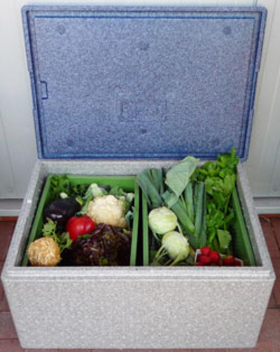 Produktfoto zu Thermobox groß