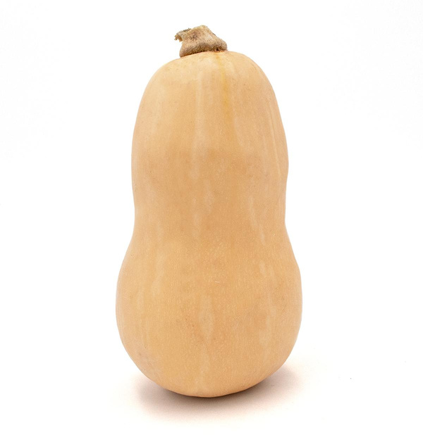 Produktfoto zu Kürbis Butternut