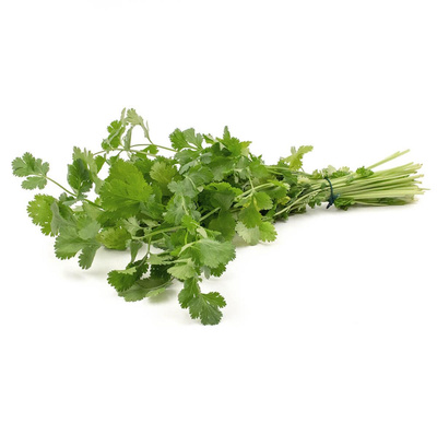 Produktfoto zu Koriander