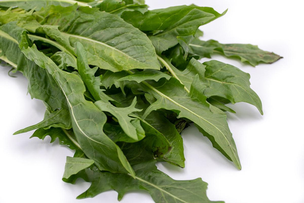 Produktfoto zu Löwenzahnsalat