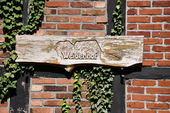 KI generiert: Holzschild mit "Weidenhof" an einer Backsteinwand, umgeben von Efeuranken.