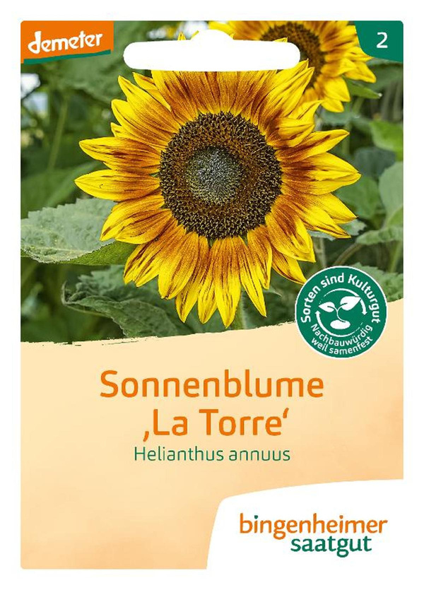 Produktfoto zu Saatgut Sonnenblume