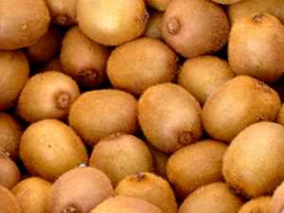 Produktfoto zu Kiwi grün 30er
