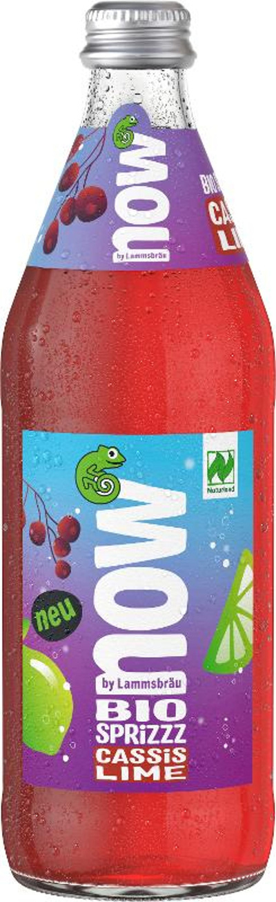 Produktfoto zu  10x0,5l now Cassis Lime