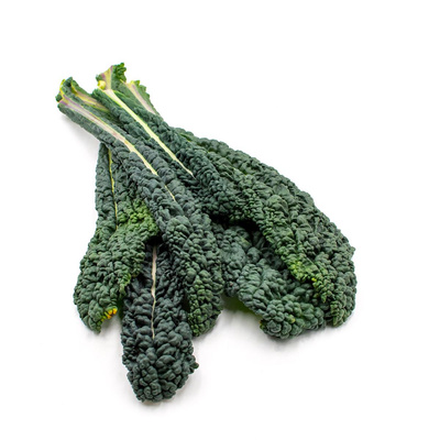 Produktfoto zu Schwarzkohl