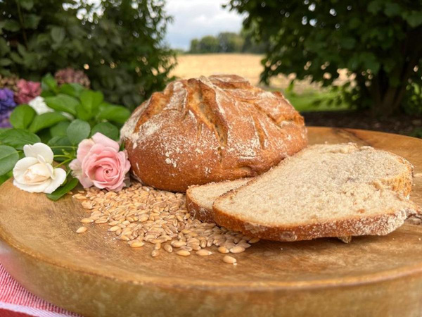 Produktfoto zu Dinkelröschen