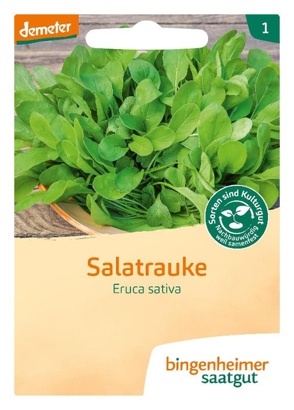 Produktfoto zu Saatgut Salatrauke mild