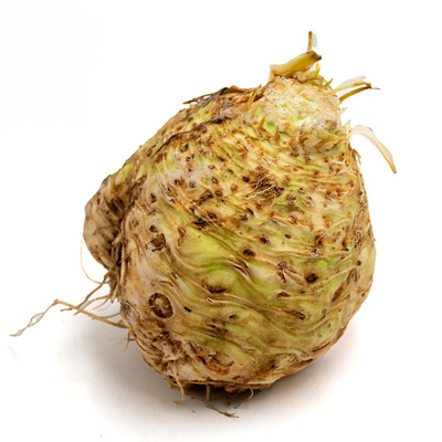 Produktfoto zu Knollensellerie