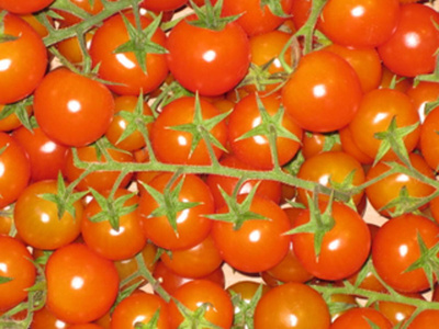 Produktfoto zu Tomate schwarz regional