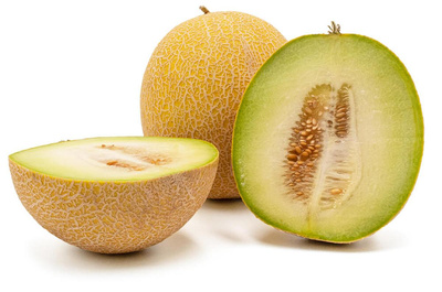 Produktfoto zu Melone, Galia