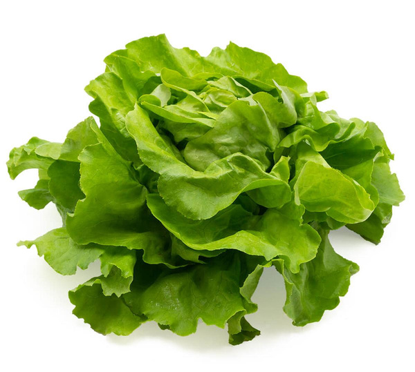 Produktfoto zu Kopfsalat