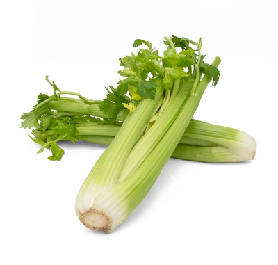 Produktfoto zu Staudensellerie