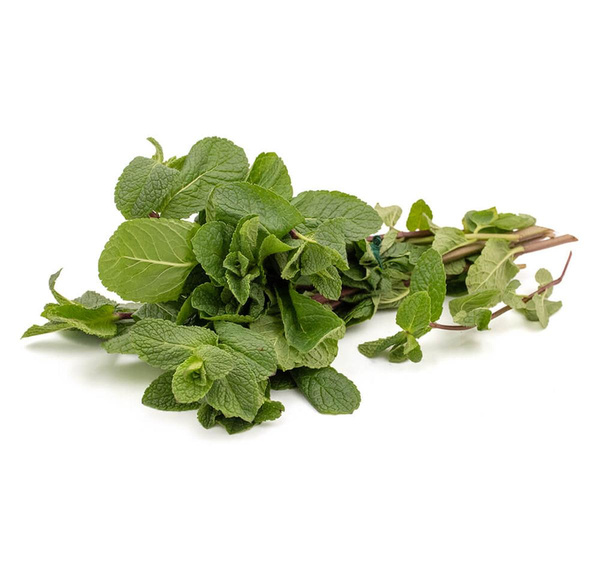 Produktfoto zu Pfefferminze