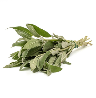 Produktfoto zu Salbei