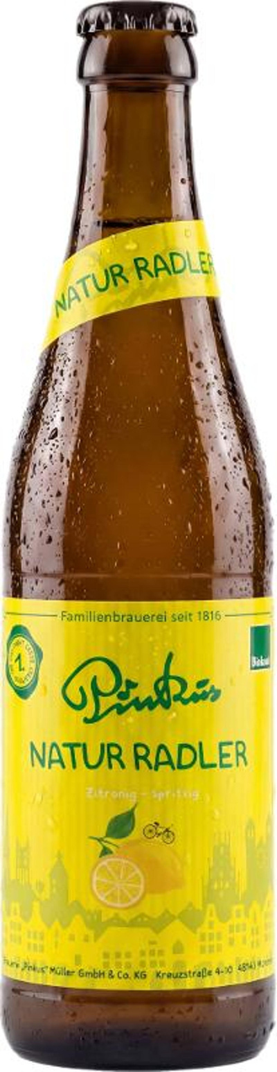 Produktfoto zu Pinkus Radler 10x0,33l