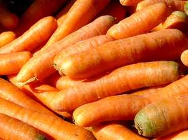 Produktfoto zu Möhren,neue Ernte 2025