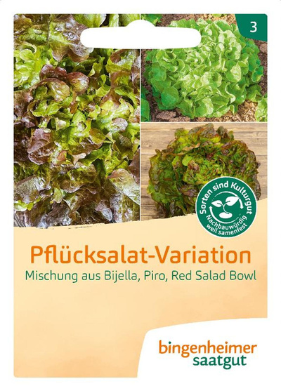 Produktfoto zu Saatgut Pflücksalat Variation