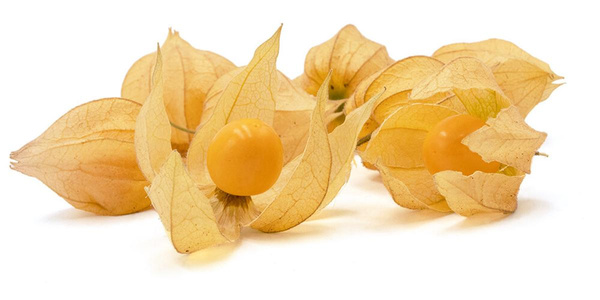 Produktfoto zu Physalis, Kapstachelbeere