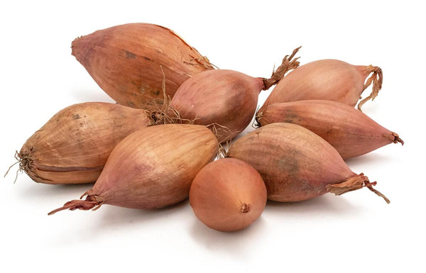 Produktfoto zu Schalotten