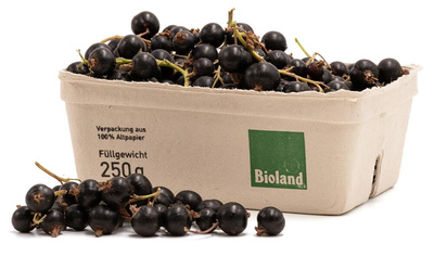 Produktfoto zu 250g  Johannisbeeren schwarz