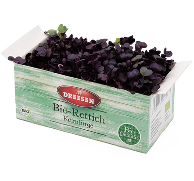 Produktfoto zu Kräuter, Kresse rot