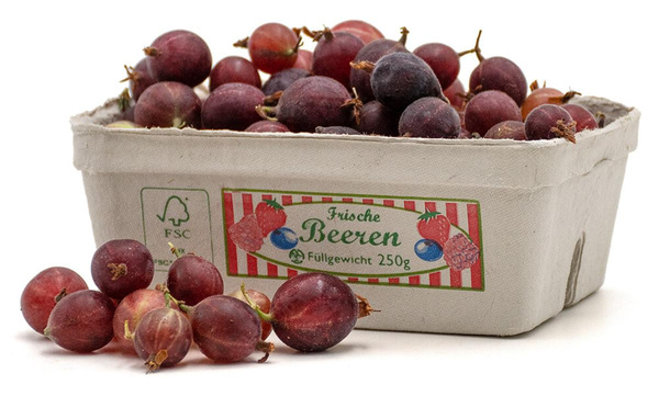 Produktfoto zu 250g Stachelbeeren