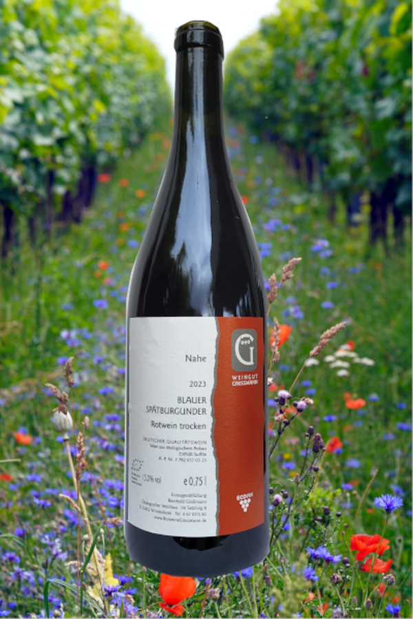 Produktfoto zu Blauer Spätburgunder trocken
