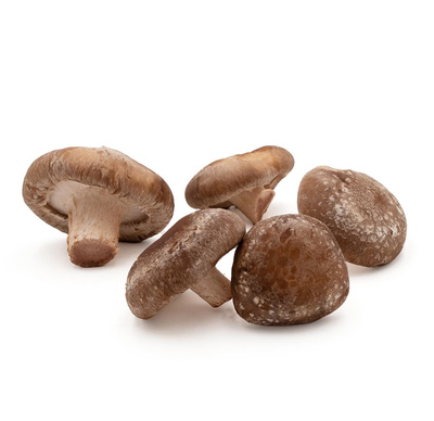 Produktfoto zu Shii-Take