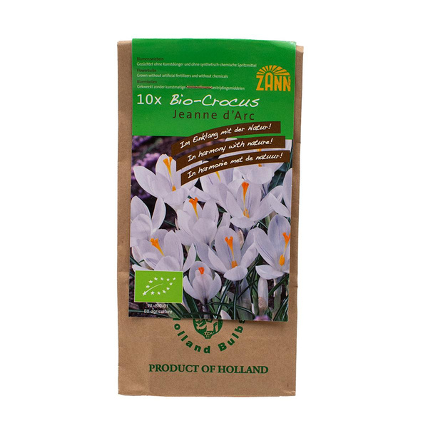Produktfoto zu Blumenzwiebeln Krokus 10 Stück